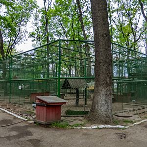 enclosure pf pheasants, chicken and doves