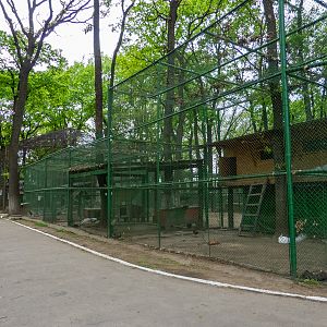 enclosure pf pheasants, chicken and doves