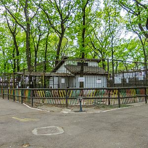Enclosure and house of lion