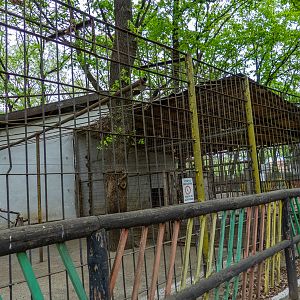 Enclosure of lion No 1