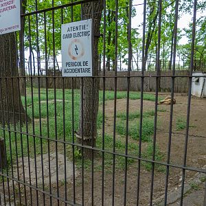 Enclosure of lion No 2