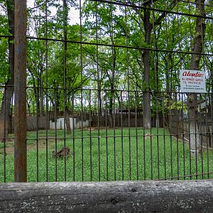 Enclosure of lion No 2