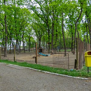 enclosure of moufflon