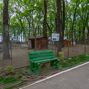 enclosure of roe deer No 1