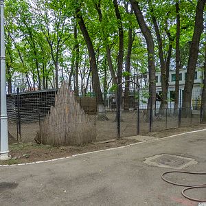 enclosure of roe deer No 2