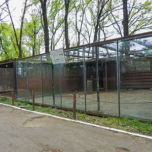 enclosure of porcupine