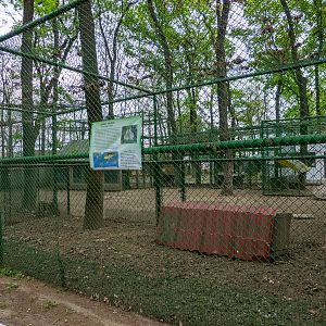 enclosure of wild European rabbits