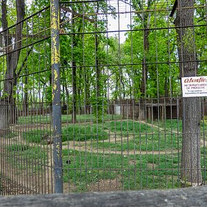 enclosure of wolves