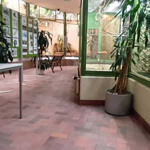 General View inside Zurich Aviary