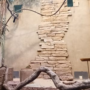 Example of interior Aviary