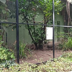 Last Aviary outside the Bird House