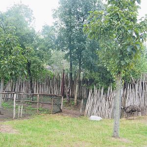 Eastern grey kangaroo, Red kangaroo, Swamp wallaby and Emu area seen from the train, 2022-09-14