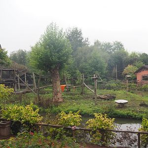 Western lowland gorilla and Black crested mangabey island seen from the train, 2022-09-14