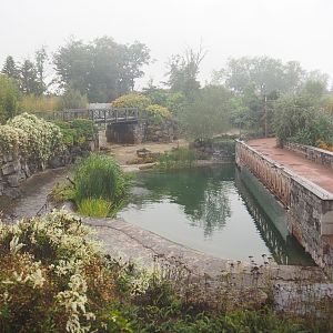 Hippopotamus exhibit and walkway seen from the train, 2022-09-14