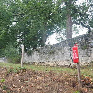 Old abbey wall and domestic donkey and alpaca paddock, seen from the train, 2022-09-14