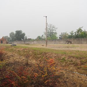 First large Asian elephant paddock seen from the train, 2022-09-14