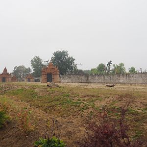 First large Asian elephant paddock seen from the train, 2022-09-14