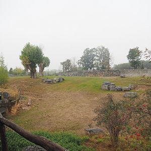 First large Asian elephant paddock seen from the train, 2022-09-14