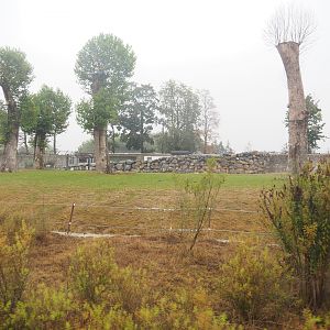 First large Asian elephant paddock seen from the train, 2022-09-14