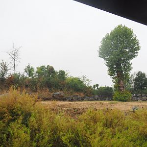 Asian elephant bull paddock seen from the train, 2022-09-14