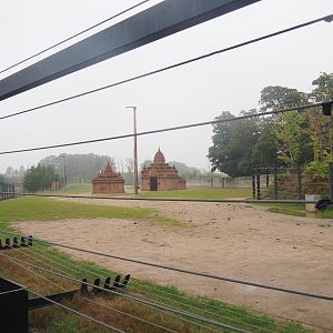 Second large Asian elephant paddock seen from the train, 2022-09-14