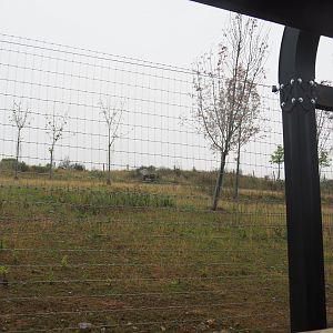Blackbuck and Markhor paddock behind the railway, 2022-09-14