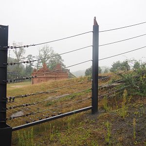 Second large Asian elephant paddock seen from the train, 2022-09-14