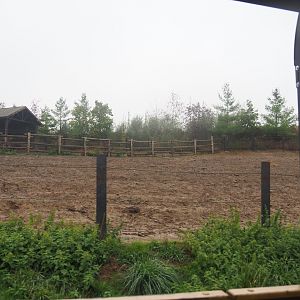 American Plains bison paddock seen from the train, 2022-09-14