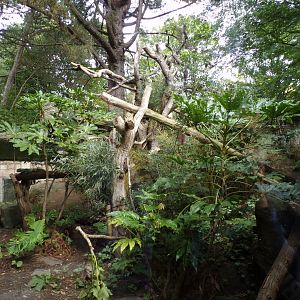 Red panda second enclosure