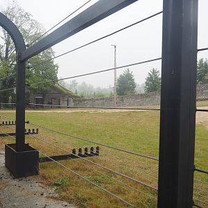 Second large Asian elephant paddock seen from the train, 2022-09-14
