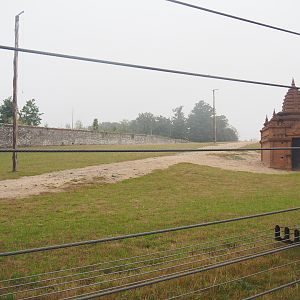 Second large Asian elephant paddock seen from the train, 2022-09-14