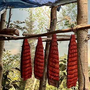 Smoked Salmon and Marten - Interior Alaska Diorama