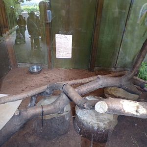 African aviary indoors (2)