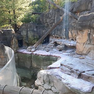 Akron Zoo Oct 2022- Penguin Exhibit (Closed due to Avian Flu)
