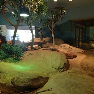 Akron Zoo Oct 2022- Komodo Dragon Exhibit