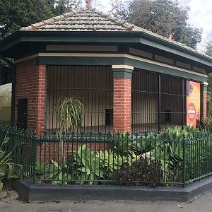 Historic Orangutan Cage