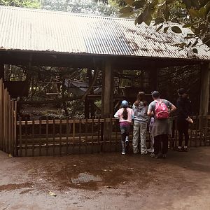 Squirrel Monkey cage