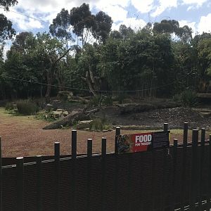 Carnivores Trail Sumatran Tiger enclosure