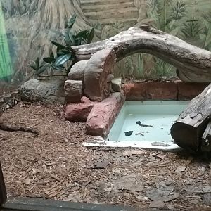 Reticulated Python Exhibit