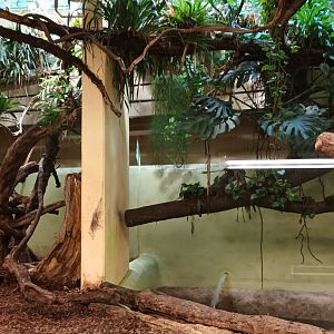 Exotarium Capybara indoor Enclosure