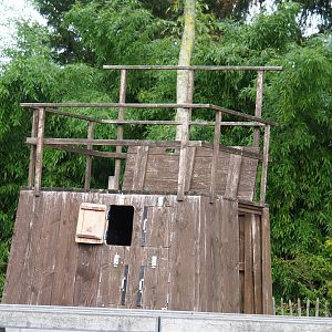 Falconry platform, 2022-09-15