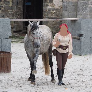 Meeting The Animals show - Domestic horse training, 2022-09-15