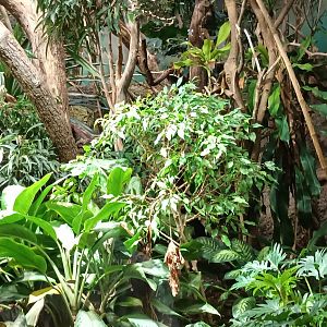 Exotarium Example of Bird/small Mammal Enclosure