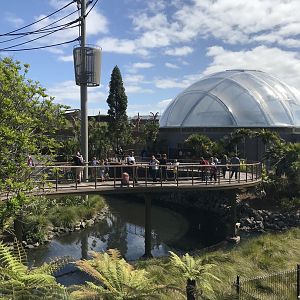 South East Asian precinct