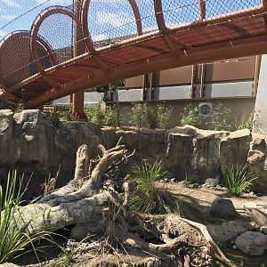 New otter enclosure with Tiger overpass