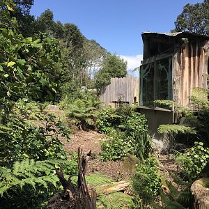 Former Saimang enclosure