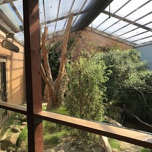 Lace Monitor enclosure