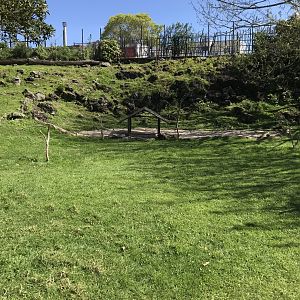 Australian walkabout