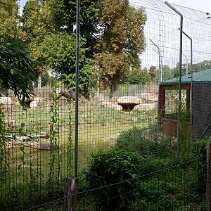 black jaguar exhibit