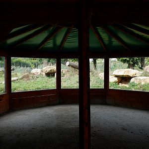 black jaguar exhibit